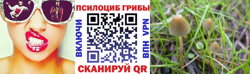 Галлюциногенные грибы GOLDEN TEACHER  где продают наркотики  Тетюши 